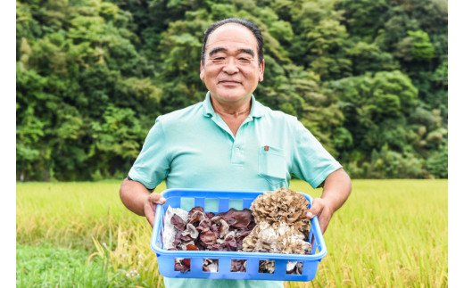 低カロリー＆栄養満点！阿蘇・南小国産の乾燥きくらげ（35g×6袋） 南小国産 乾燥きくらげ 35g 6袋 210g 国産 きくらげ キクラゲ 小分け 低カロリー 栄養満点 熊本 阿蘇 南小国町 送料無料