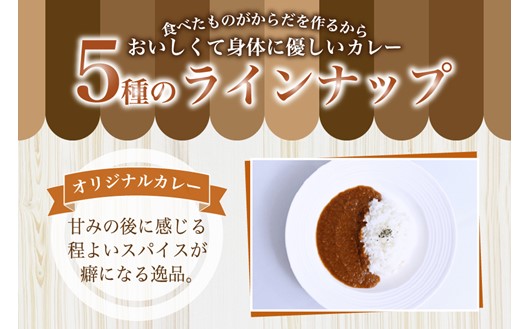 無添加で安心安全！スパイス香る本格カレー5種（200g×10食） カレー スパイス レトルト 5種 200g 10食 スパイスカレー キーマカレー レトルトカレー 無添加 セット 詰め合わせ ご当地 ギフト 贈答用 熊本 阿蘇 南小国町 送料無料