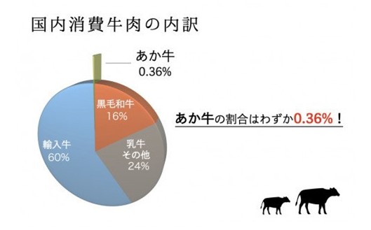 【12ヶ月定期便】ＧＩ認証取得 くまもとあか牛（特選・焼肉用500g）