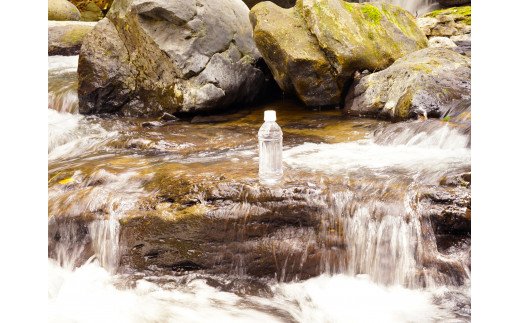 【12ヶ月定期便】南小国町の天然水「サクラシリカ」500ml×40本
