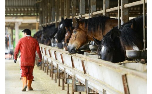 馬刺し〈赤身・コウネ〉セット 300g 赤身 コウネ セット 馬 馬肉 馬刺し たてがみ タテガミ 肉刺し 醤油 贈答用 ギフト 熊本 阿蘇 南小国町 送料無料