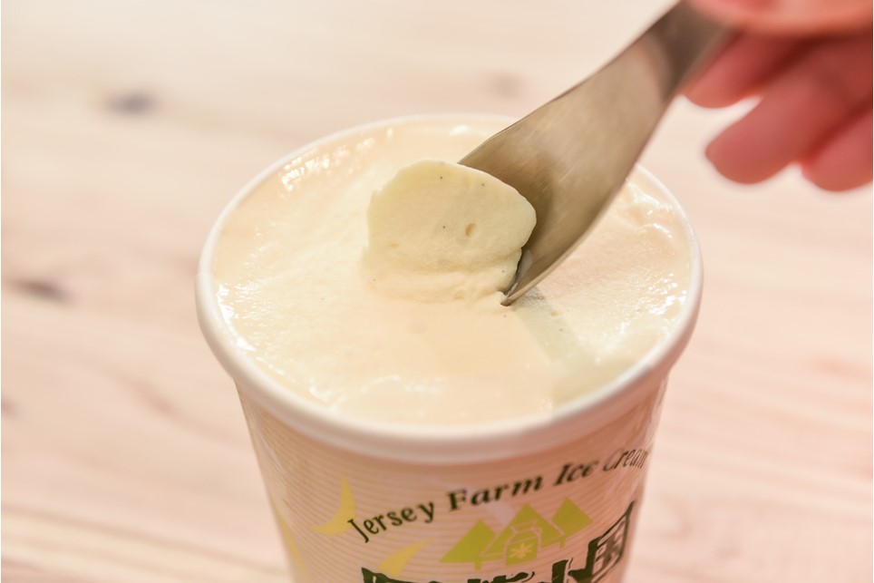 【阿蘇・小国郷特産】ジャージー牛乳アイス・パーティセット2.4L(バニラ480ml×3、抹茶480ml×2)