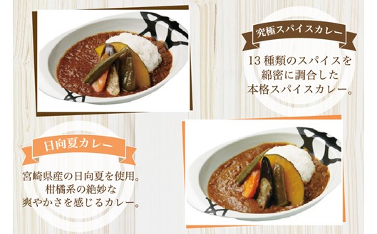 無添加で安心安全！スパイス香る本格カレー5種（200g×10食） カレー スパイス レトルト 5種 200g 10食 スパイスカレー キーマカレー レトルトカレー 無添加 セット 詰め合わせ ご当地 ギフト 贈答用 熊本 阿蘇 南小国町 送料無料