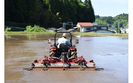 【3ヶ月定期便】令和5年産 瑠璃米 10kg 3ヶ月 定期便 南小国産 精米 5kg 2袋 米 白米 お米 ご飯 産地直送 熊本 阿蘇 南小国町 送料無料