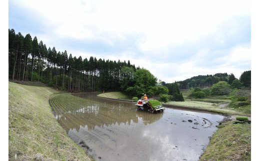 【3ヶ月定期便】令和5年産 瑠璃米 10kg 3ヶ月 定期便 南小国産 精米 5kg 2袋 米 白米 お米 ご飯 産地直送 熊本 阿蘇 南小国町 送料無料