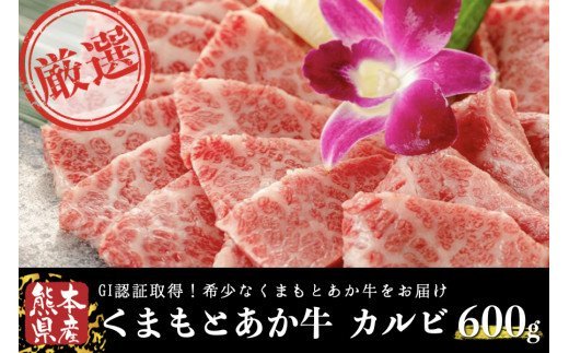 くまもとあか牛(GI) 焼肉用 牛カルビ 600g あか牛 くまもとあか牛 GI認証 熊本県産 焼肉 カルビ 焼き肉 バーベキュー BBQ 国産 和牛 牛 牛肉 熊本 阿蘇 南小国町 送料無料