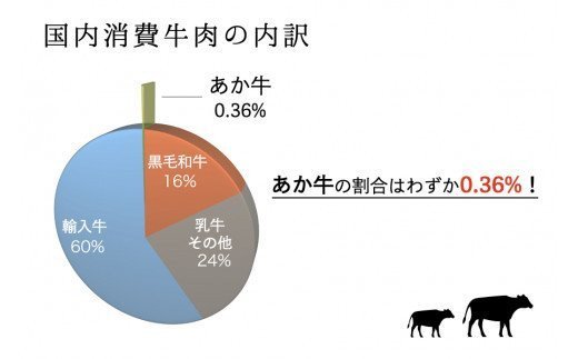 くまもとあか牛(GI) 焼肉用 牛カルビ 600g あか牛 くまもとあか牛 GI認証 熊本県産 焼肉 カルビ 焼き肉 バーベキュー BBQ 国産 和牛 牛 牛肉 熊本 阿蘇 南小国町 送料無料