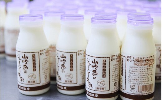 【最高金賞】黒川温泉発　山吹色のジャージー牛乳＆ヨーグルトセット　１２ヶ月定期便