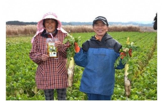 地元で愛され続けて10年以上！まっちゃん漬けセット 3袋 250g まっちゃん漬け セット 小国大根 漬け物 漬物 大根 ごはんのお供 ギフト 贈答用 熊本 阿蘇 南小国町 送料無料