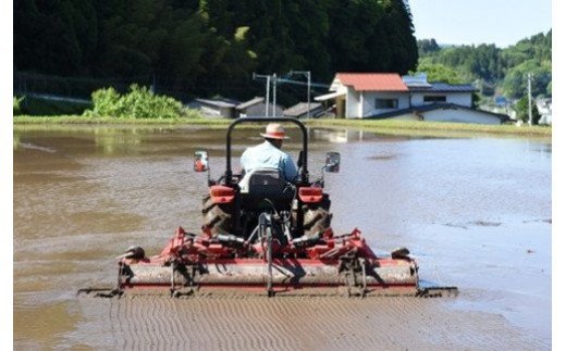 令和6年産・新米 瑠璃米 10kg 令和6年産 南小国産 新米 米 白米 精米 5kg 2袋 お米 ご飯 産地直送 熊本 阿蘇 南小国町 送料無料