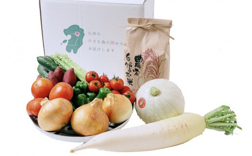 【定期便6回】阿蘇小国産・旬の野菜とお米5kgの詰め合わせ