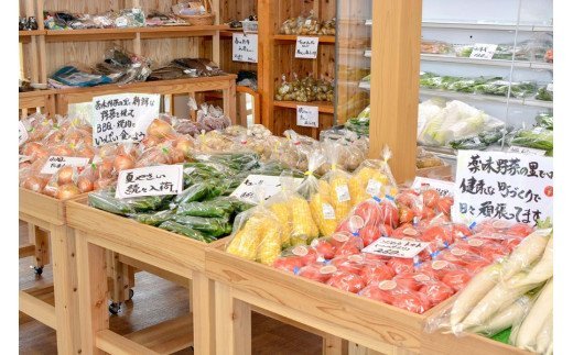 【定期便6回】阿蘇小国産・旬の野菜とお米5kgの詰め合わせ