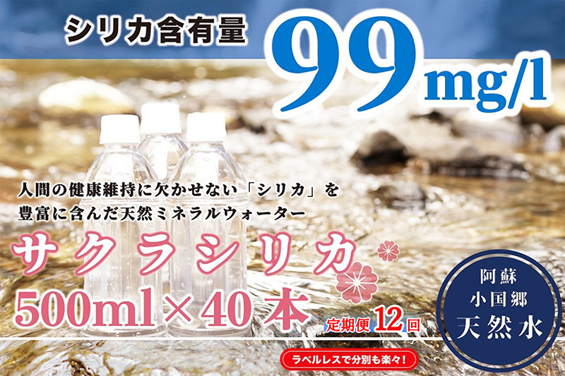 【定期便12ヶ月】阿蘇小国郷の天然水「サクラシリカ」500ml×40本