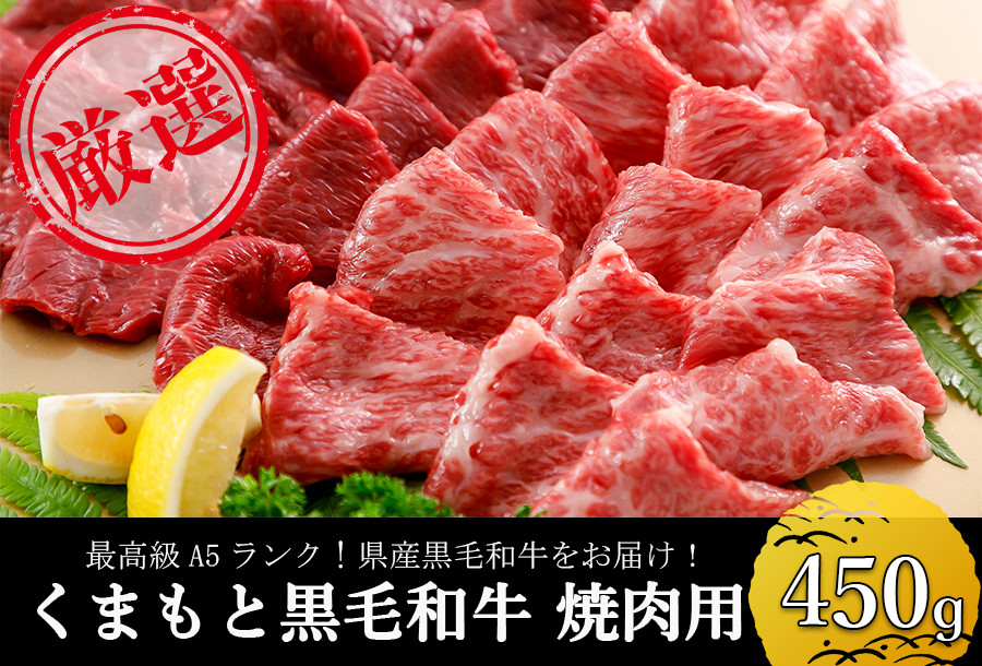 くまもと黒毛和牛】A5ランク熊本県産黒毛和牛450g（焼肉用） - ふるさとパレット ～東急グループのふるさと納税～