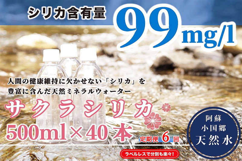 【定期便6ヶ月】阿蘇小国郷の天然水「サクラシリカ」500ml×40本