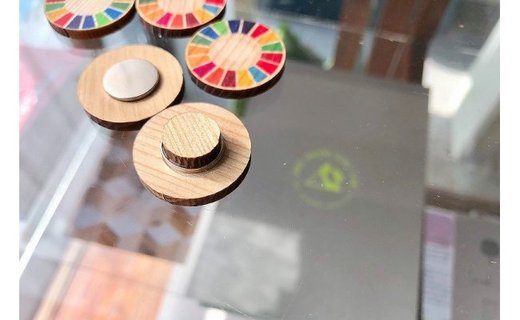 【阿蘇小国杉】木製SDGsバッジ　4個セット