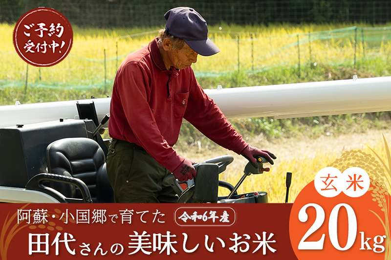 【予約米】令和6年産・新米 田代さんの美味しいお米（玄米20kg）