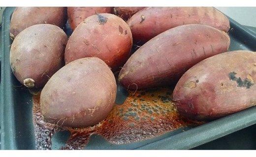 阿蘇小国の冷凍焼き芋「あま〜いおいも」＜2本（200g）×６袋入＞