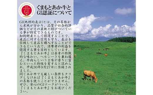 熊本県産 GI認証取得 くまもとあか牛 切り落とし 合計1.2kg