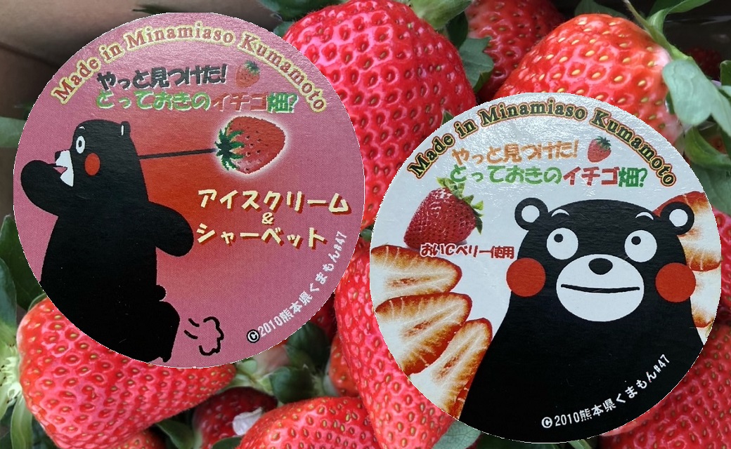 南阿蘇村のイチゴ畑から苺を使ったアイス2種×5（計10個）