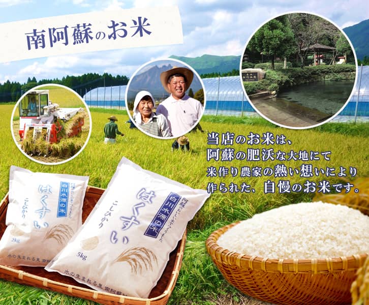 南阿蘇村産『はくすい米こしひかり(白米)』 2kg×3袋