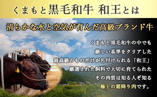 くまもと黒毛和牛 和王 ひとくちステーキ 1kg(500g×2)