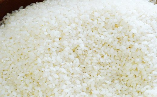 令和3年産特別栽培米 いのちの壱(白米)2kg×2