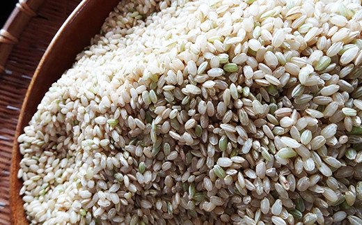 令和3年産特別栽培米 いのちの壱(玄米)10kg×1