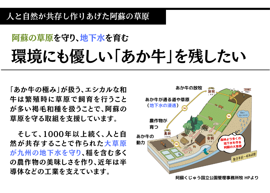 【定期便4回】【エシカル和牛】あか牛の極み 産直 お試し定期便 (合計3.6kg) ステーキ ハンバーグ 焼肉 食べ比べ  焼肉 しゃぶしゃぶ すき焼き 熊本 あか牛 牛肉 赤身 和牛 国産  033-0508