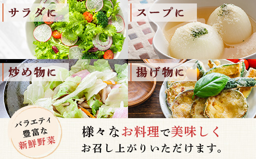 【定期便6回】熊本の大地の恵み≪ 野菜で野菜を食べる ≫ 旬のこだわり 野菜 ＆ドレッシング セット (3〜4名様向け) 野菜 獲れたて 8～12品 直送 旬 新鮮 定期便 野菜ドレッシング 詰め合わせ 詰合せ 熊本県 多良木町 024-0815