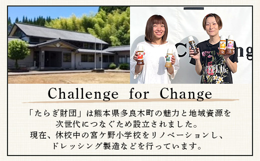 【定期便12回】熊本の大地の恵み≪ 野菜で野菜を食べる ≫ 旬のこだわり 野菜 ＆ドレッシング セット (3〜4名様向け) 野菜 獲れたて 8～12品 直送 旬 新鮮 定期便 野菜ドレッシング 詰め合わせ 詰合せ 熊本県 多良木町 024-0816