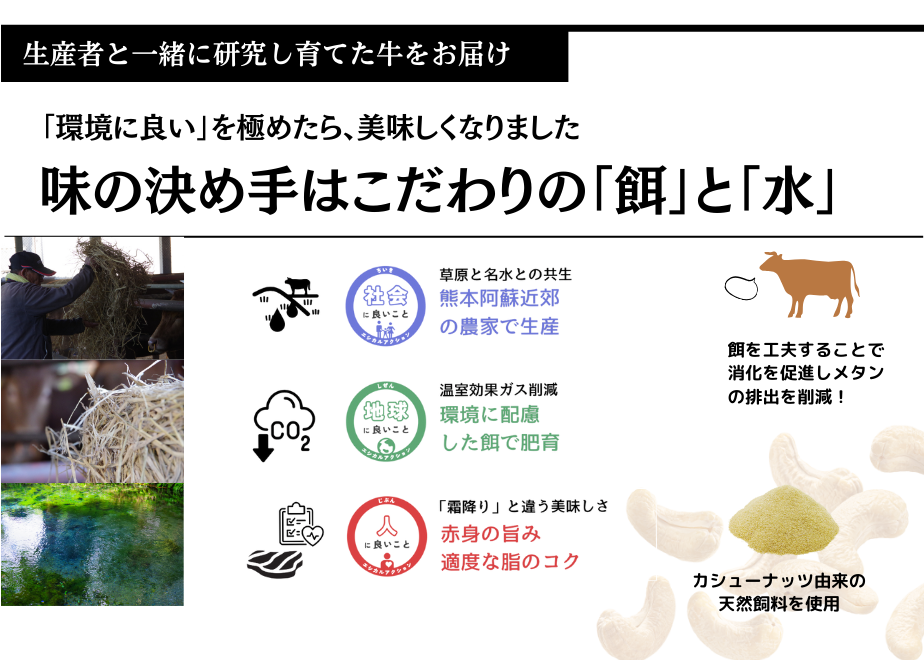 【エシカル和牛】あか牛の極み 希少部位入 食べ比べセット 【1kg】 モモ カタ トウガラシ バラ 焼肉 しゃぶしゃぶ すき焼き 熊本 あか牛 牛肉 赤身 和牛 国産 1キロ 033-0505