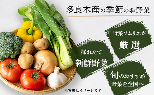 【定期便12回】熊本の大地の恵み 旬の こだわり野菜詰め合わせセット 8〜12品 （3〜4名様向け）12カ月配送 獲れたて 新鮮 野菜 セット 詰め合わせ 詰合せ 定期便 産地 直送 国産 季節 旬野菜 家族 ファミリー 多良木町 024-0812