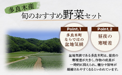 【定期便 3回】野菜ソムリエ 監修【 野菜で野菜を食べる 】旬の おすすめ 野菜＆ドレッシング 定期便 (1〜2名様向け) 野菜 獲れたて 直送 旬 新鮮 セット 詰め合わせ 詰合せ 定期便 産地 直送 国産 旬 野菜 ひとり暮らし 夫婦 熊本県 多良木町 ドレッシング 024-0806