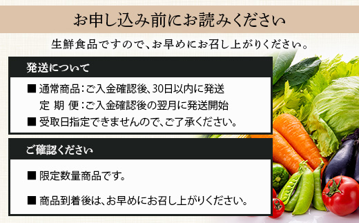 【定期便 6回】野菜ソムリエ 監修【 野菜で野菜を食べる 】旬の おすすめ 野菜＆ドレッシング 定期便 (1〜2名様向け) 野菜 獲れたて 直送 旬 新鮮 セット 詰め合わせ 詰合せ 定期便 産地 直送 国産 旬 野菜 ひとり暮らし 夫婦 熊本県 多良木町 ドレッシング 024-0807