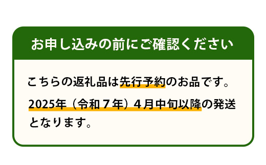 【2025年4月中旬発送開始】【先行予約】熊本県産 ホームランメロン 2玉 約2.5kg以上【 ご予約 メロン フルーツ 果物 熊本 多良木 】083-0699