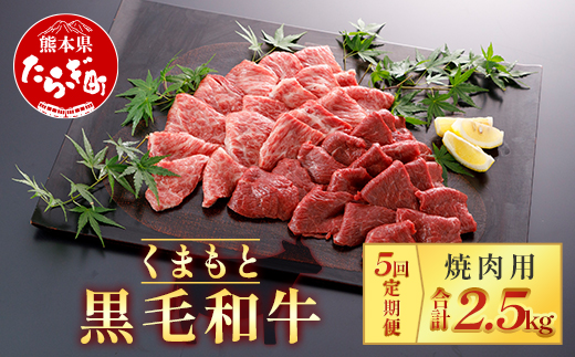 【定期便5回】くまもと黒毛和牛 焼肉用 500g ×5回配送 ブランド 黒毛和牛 焼肉 焼き肉 やきにく 肉 牛肉 多良木町 国産 和牛 030-0704