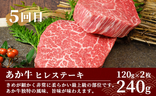 【定期便 6回】あか牛 ステーキ 食べ比べ！ 6回配送 ステーキ 定期便 熊本県産 ≪ サーロイン ミスジ ランプ 三角バラ ヒレ リブ ロース ≫ ステーキ 和牛 あか牛 牛肉 赤身 肉 定期 和牛 国産 ご褒美 定期便 6カ月 046-0676