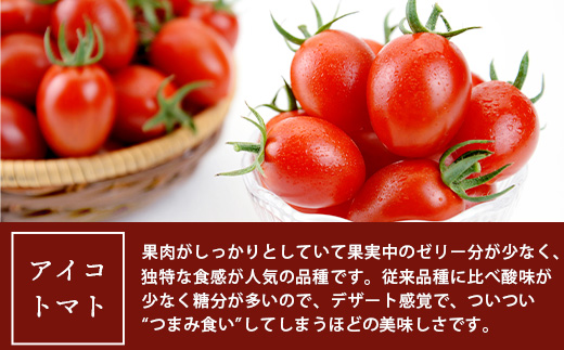 【産地直送】熊本県産 ミニトマト「アイコ (赤色)」約1.25kg 国産トマト アイコ とまと 甘い 熊本 多良木町 農園直送 新鮮 フルーツトマト フルーティ 020-0532