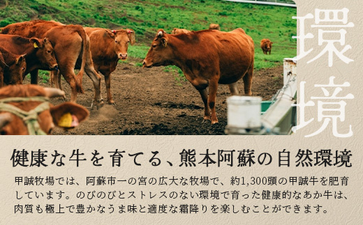 熊本県産 あか牛 【 モモ ブロック 500g 】本場 熊本県 あか牛 赤身 肉 ステーキ 焼き肉 国産 和牛 牛肉 046-0613