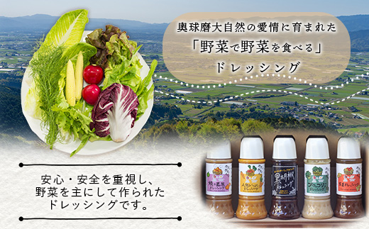 野菜で野菜を食べる ドレッシング 2本 Eセット ＜ 人参 / 黒胡椒 ＞計590ml サラダ や 肉料理 にも 詰め合わせ 熊本県 多良木町 調味料 家庭用 ギフト 024-0670