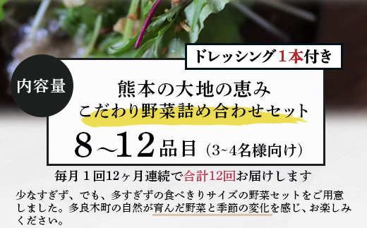 【定期便12回】熊本の大地の恵み≪ 野菜で野菜を食べる ≫ 旬のこだわり 野菜 ＆ドレッシング セット (3〜4名様向け) 野菜 獲れたて 8～12品 直送 旬 新鮮 定期便 野菜ドレッシング 詰め合わせ 詰合せ 熊本県 多良木町 024-0816