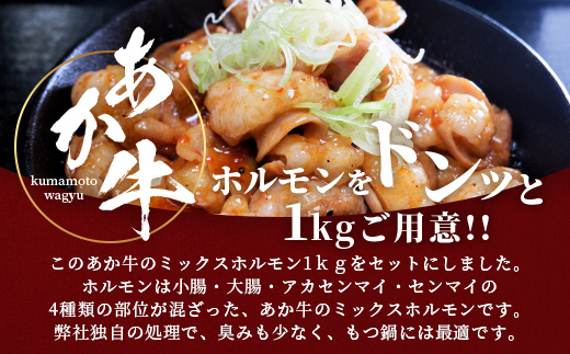 熊本県産 あか牛 ミックス ホルモン 1kg（500g×2パック） もつ鍋 焼肉 ホルモン 焼き BBQ 熊本県 あか牛 牛肉 046-0644