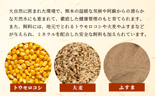 ★訳あり★【A4〜 A5等級】くまもと黒毛和牛 モモ ブロック（ローストビーフ 用 等）約500g〜600g ≪ ブランド 牛肉 肉 わけあり 和牛 赤身 モモ 国産 熊本県 上級 上質 ≫