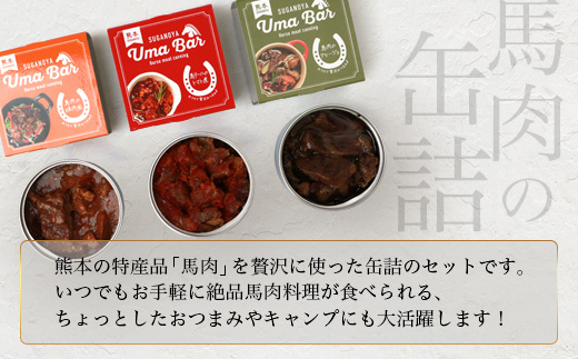 【UmaBar】 馬肉 缶詰 3種 9個セット アヒージョ トマト煮 焼肉風 アウトドア 非常食 簡単 手軽 非常食 熊本県 本場
