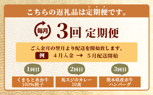 【定期便3回】惣菜バラエティ定期便＜餃子・カレー・ハンバーグ＞ 【 毎月届く 3ヶ月 黒毛和牛 牛肉 ばさし 熊本県 多良木町 定期配送 】 092-0012