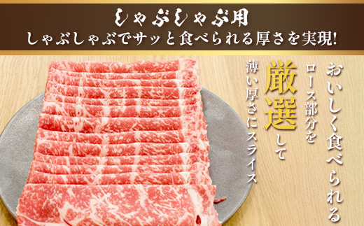 くまもとあか牛ロースセット 《 ステーキ400g(200g×2枚)・しゃぶしゃぶ用500g》計900g  熊本県 ブランド牛 肉 ヘルシー 赤身 牛肉 105-0513