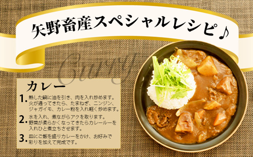 くまもとあか牛切り落とし徳用 500g×2パック 計1kg 熊本県 ブランド牛 肉 ヘルシー 赤身 牛肉 大容量 熊本県 ブランド あかうし 牛肉 用途多彩 きりおとし 105-0516