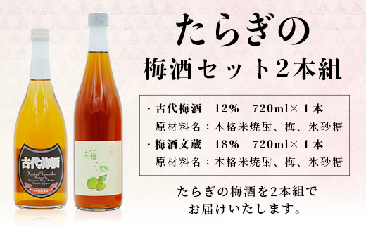 たらぎの 梅酒 セット 720ml × 2本 ≪古代梅酒≫≪ 梅酒文蔵≫ 球磨焼酎 多良木町 米 焼酎 梅 うめ酒 お酒 球磨 贈り物 ギフト 熊本県 多良木町 015-0689