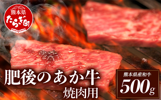 【定期便6回】熊本県産 和牛 肥後のあか牛 焼肉用 500g 計3kg 牛肉 030-0382